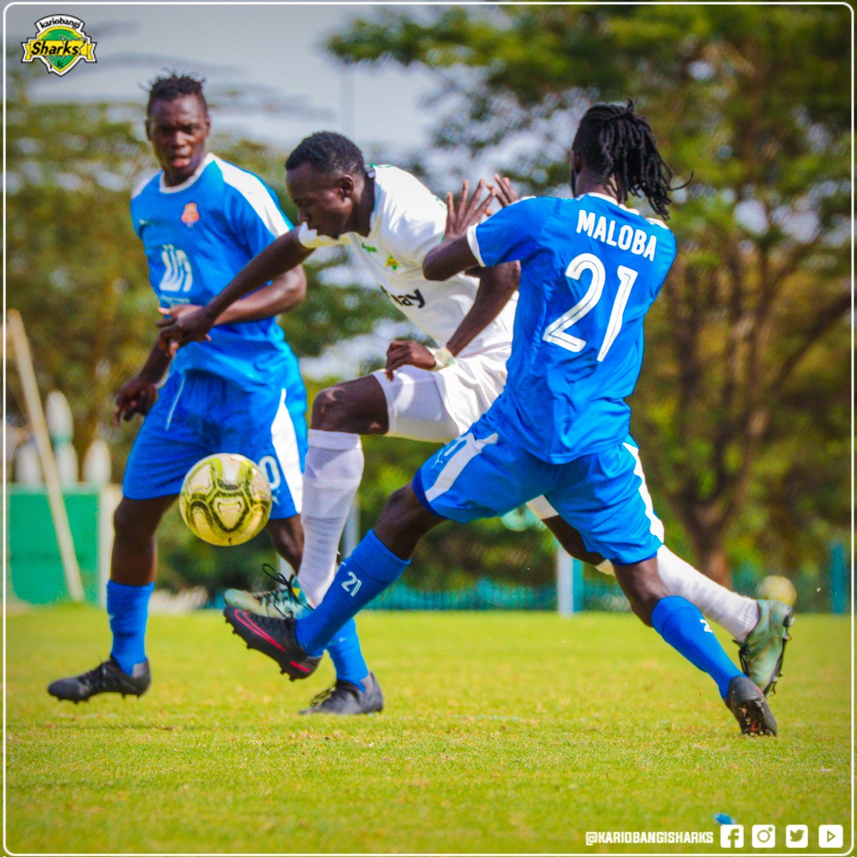 k_sharksfc's tweet photo. https://t.co/yOUM1VXmzq