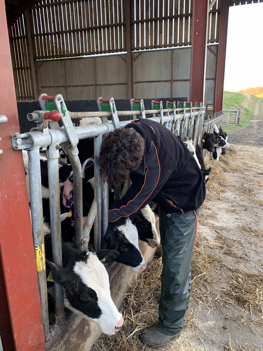 Bedstone College is a candidate school for the IB Career-Related Programme, to include Agriculture, Business Management &amp; Sports options

#BTEC #Agriculture #Business #Management #Sport #Nurture #apprenticeships #career #sixthform