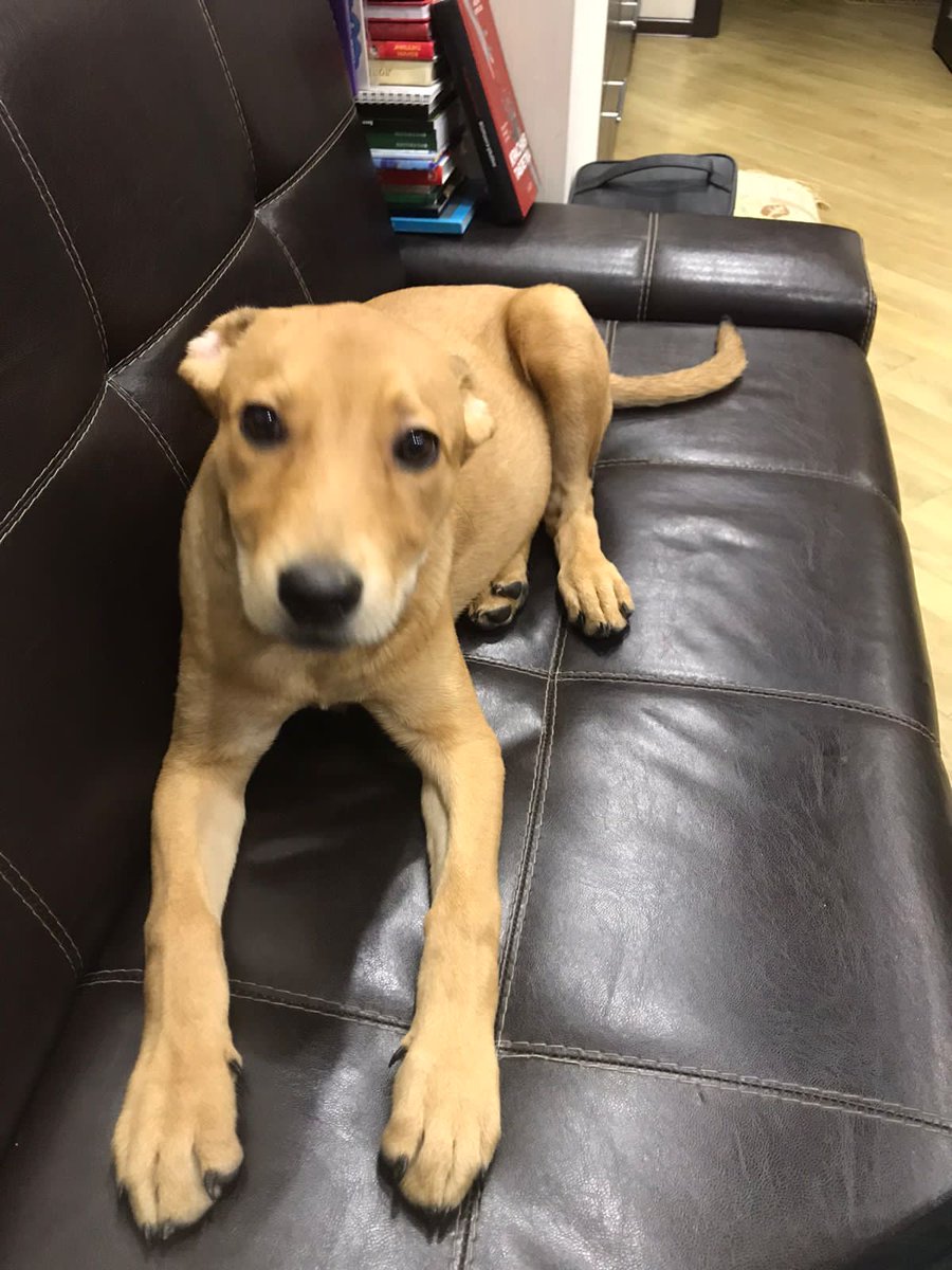 Сергей tweet media