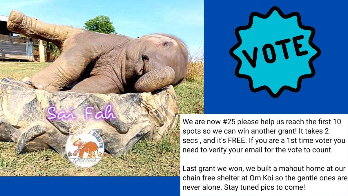 GentleNon's tweet photo. 💕🐘Happy Sunday GG Family💕🐘

It's a day to have fun, laugh, smile, be with your loved ones and to VOTE for GG #MyGivingCircle and  don't forget to send your LOVE to my mama &amp; me

https://t.co/eWOaDKwkqt

Love, Baby Sai Fah &amp; Mr. Tire https://t.co/alqj8kb3lM