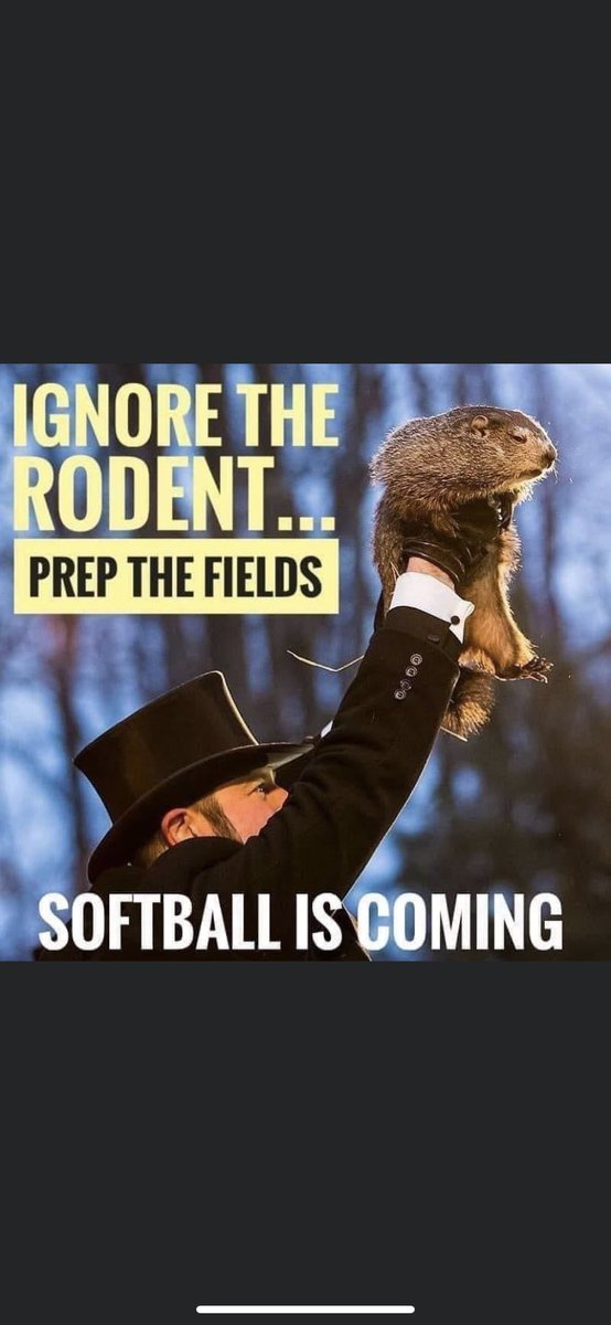 Normangee Panther Softball tweet media