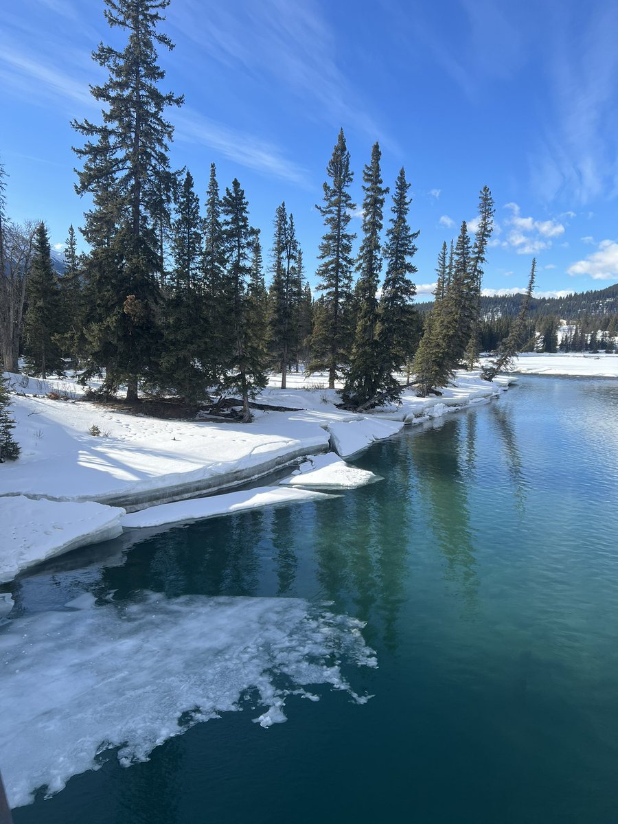 Today was mental health break day. Spent some much needed time outside 🤍🤙