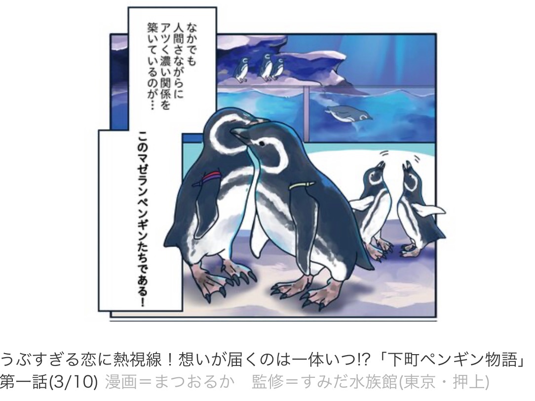 Walker plusにてすみだ水族館のペンギンたちの関係を描いた新連載

「下町ペンギン物語」

が配信されました!毎週月曜更新です!今回はバレンタインにピッタリな今アツイ2羽のお話です〜!
https://t.co/npIuKQNBJq 