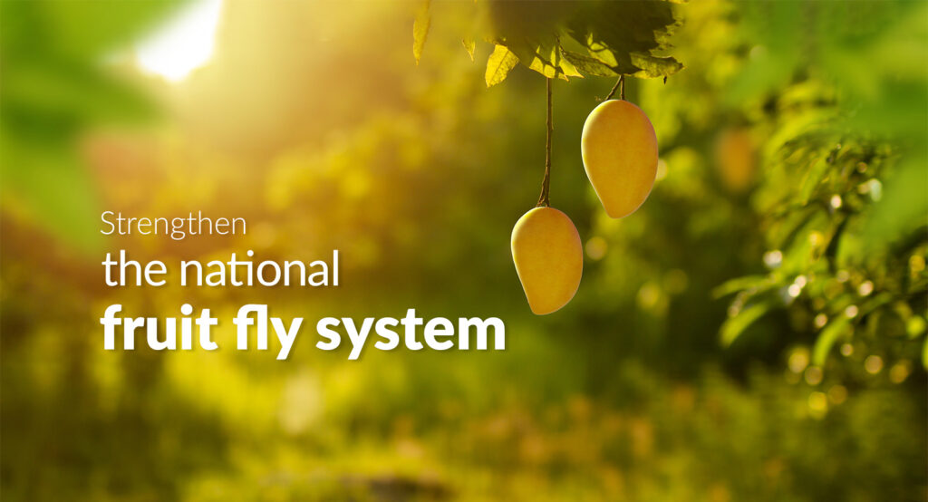 Prevent Fruit Fly tweet media