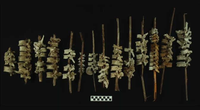 archaeoworld18's tweet photo. Human spines on sticks found in 500-year-old graves in Peru https://t.co/nXLv0m3Rle https://t.co/sf8SavJpdS