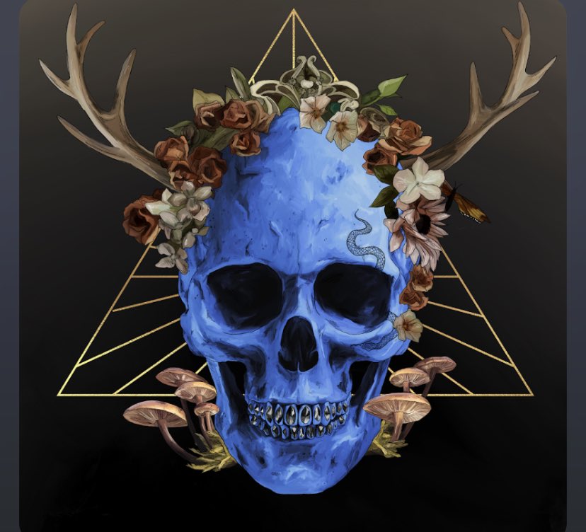 LoganCNFT's tweet photo. @JeffKCollins @SacredSkullsBot #6082 https://t.co/o3Hr6OME4M
