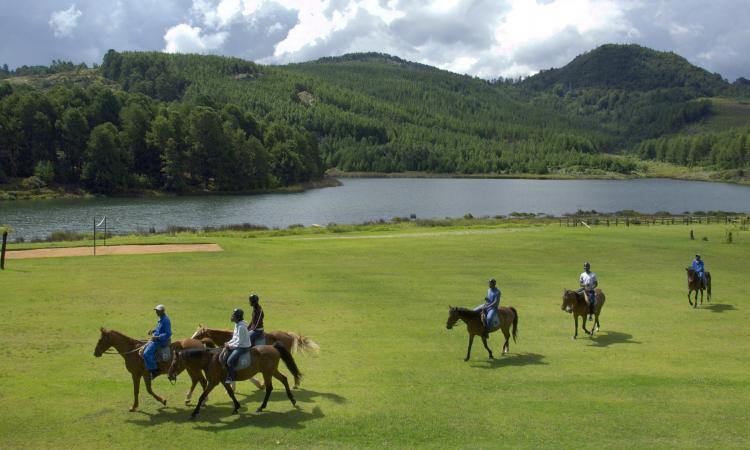ShantelMpof's tweet photo. Greetings everyone. Help me introduce to the World this beautiful part of Zimbabwe, the Eastern Highlands. Its worth a visit. #VisitZimbabwe https://t.co/2CMvysdh6D