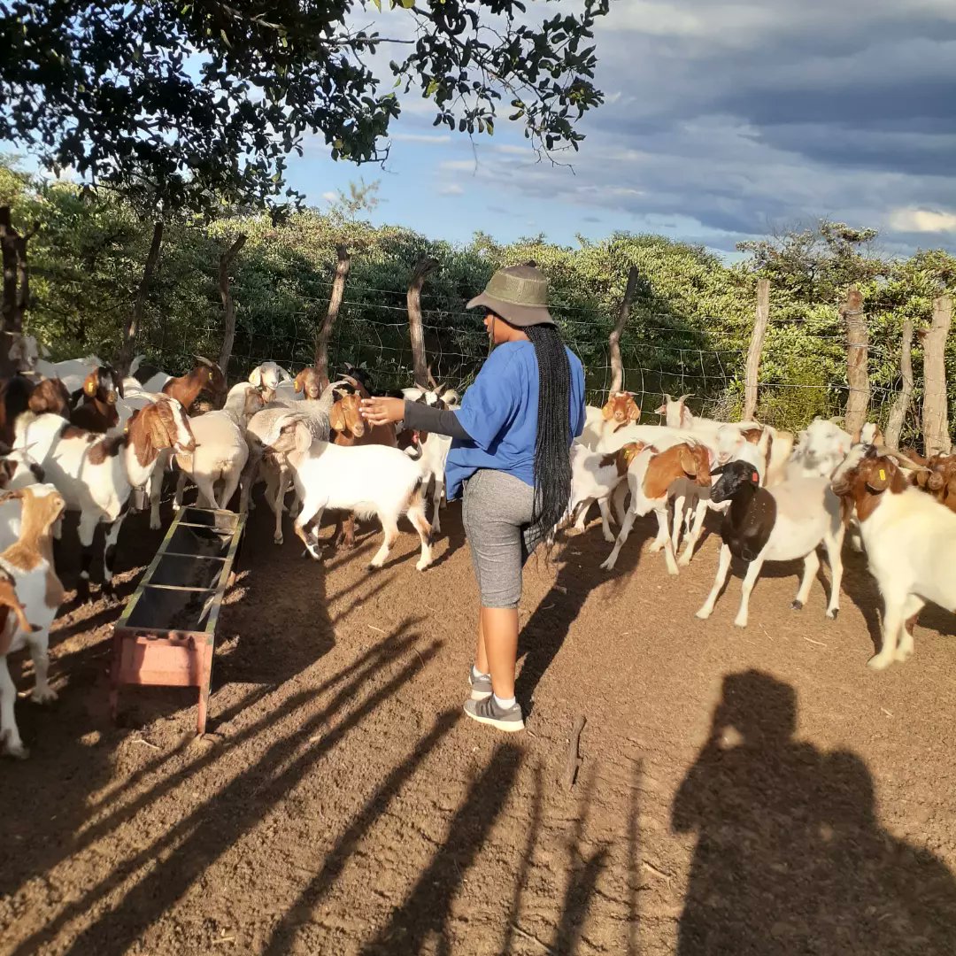 Calm__Beast's tweet image. Modimo o ke sa mo ireleng sepe , ke a leboga🙏❤