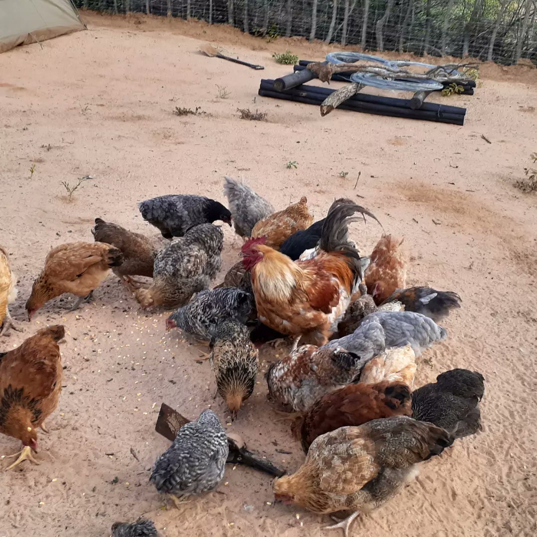 Calm__Beast's tweet image. Modimo o ke sa mo ireleng sepe , ke a leboga🙏❤