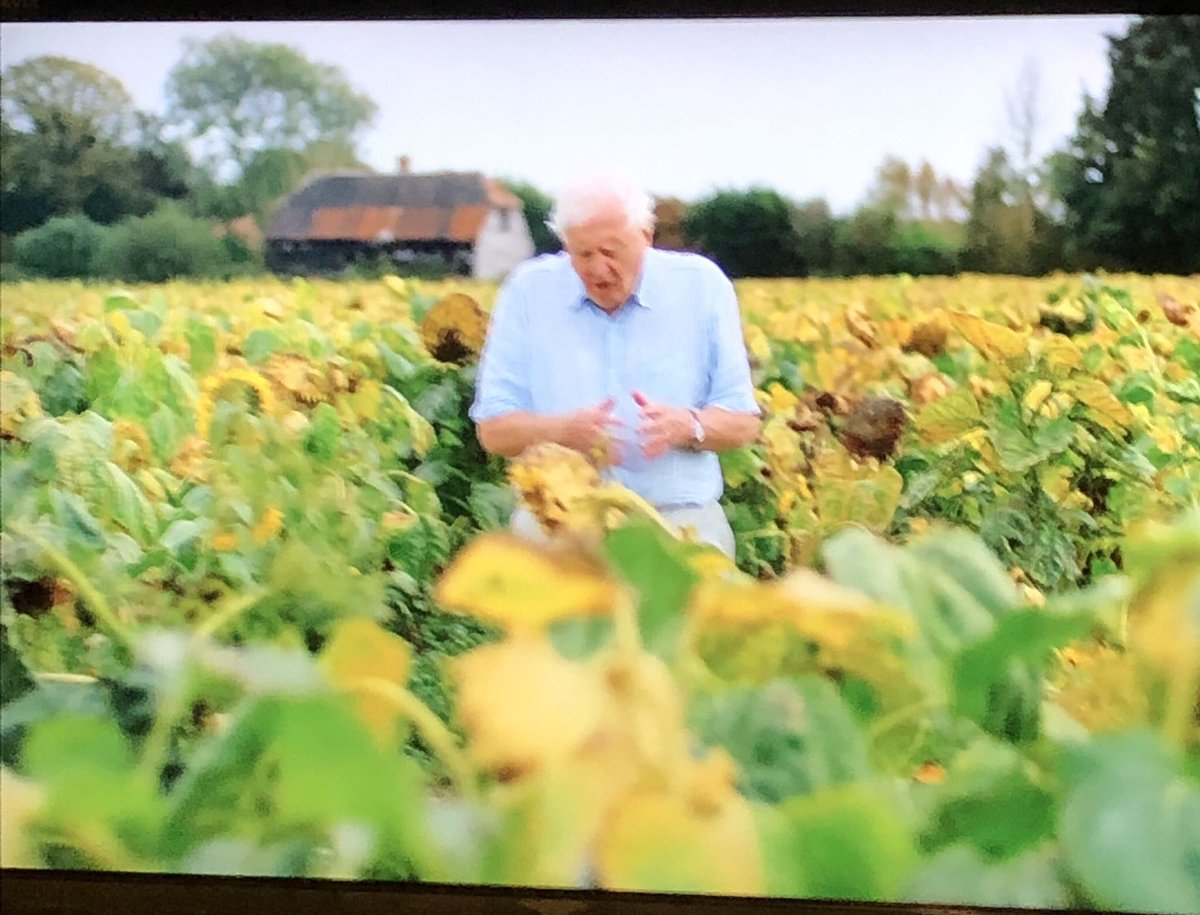 Antony Dodd tweet media