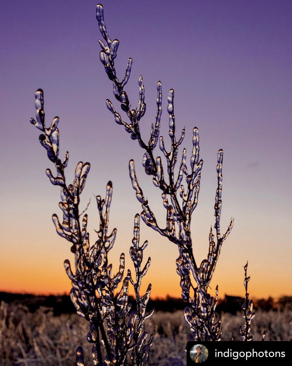 Able_Engineers's tweet photo. Lots of beautiful pictures of ice around the province after yesterday! This lovely one posted on Instagram by @indigophotons Perks of not being able to sleep after 2:30am… sunrise photos! What a stunning Nova Scotia winter day!
#icestorm #lovewherewelive #ableengineering https://t.co/NZkKKRD5YZ