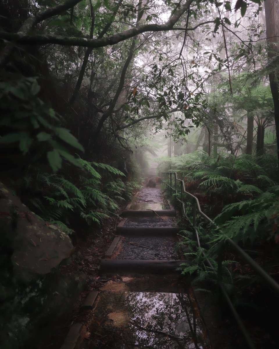 _Joshfalls's tweet image. IT’S HERE!! 💥

Stoked to announce that I have listed my first 1/1 piece on @withFND ‘Moody Forest’, which is also the introductory piece to my ‘Nature’s Calling’ collection. More pieces to come soon. 😊🌳

foundation.app/@JoshFalls/nat…

#NFTCommunity #NFT #withFND