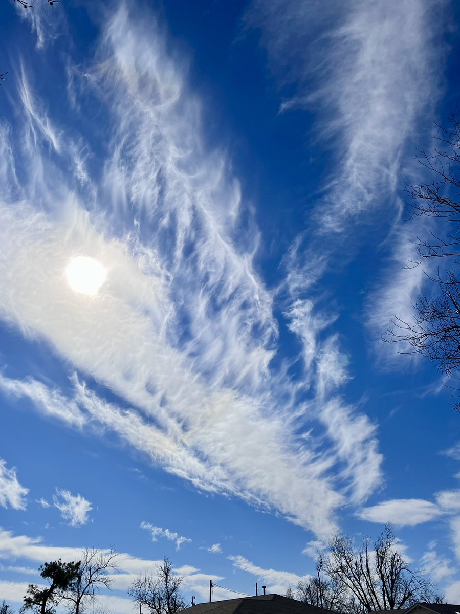 Feathers in the Sky 🪶