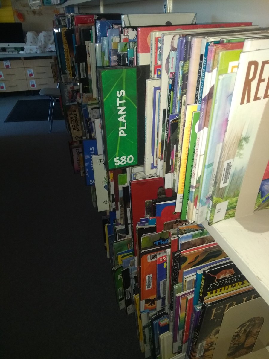 KiddLibrary tweet media