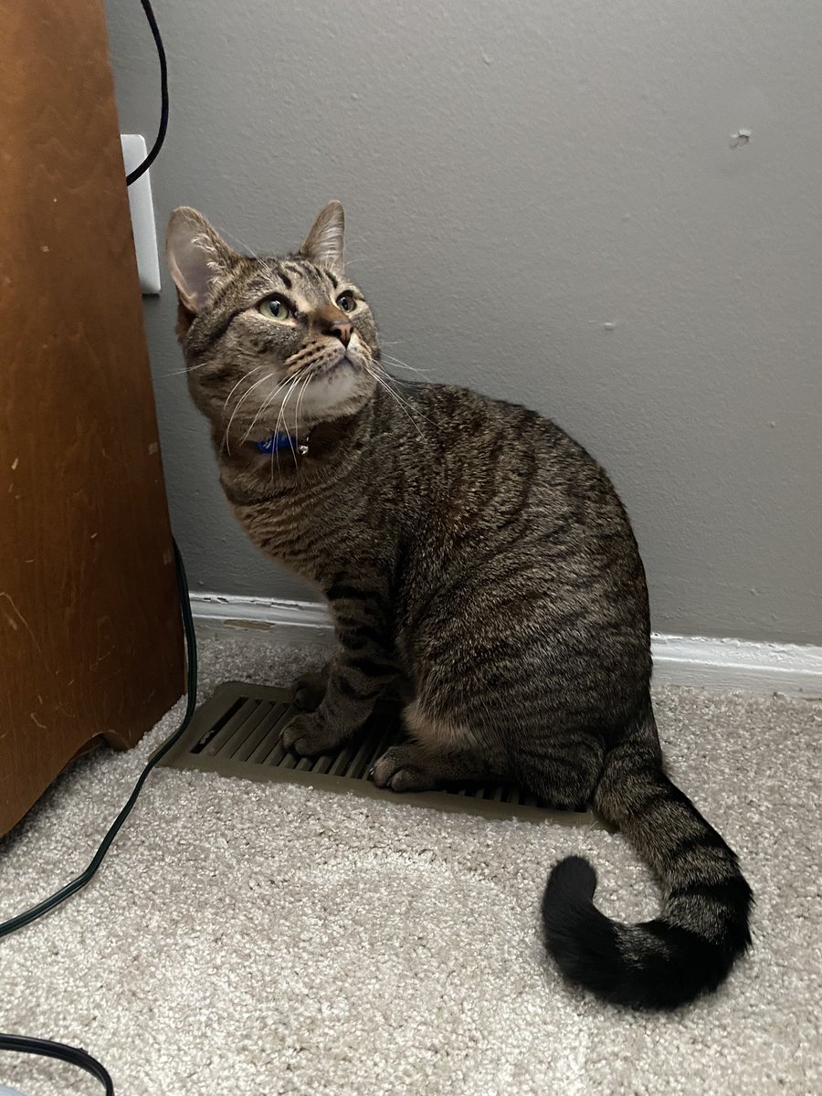 feelimg kinda … sos