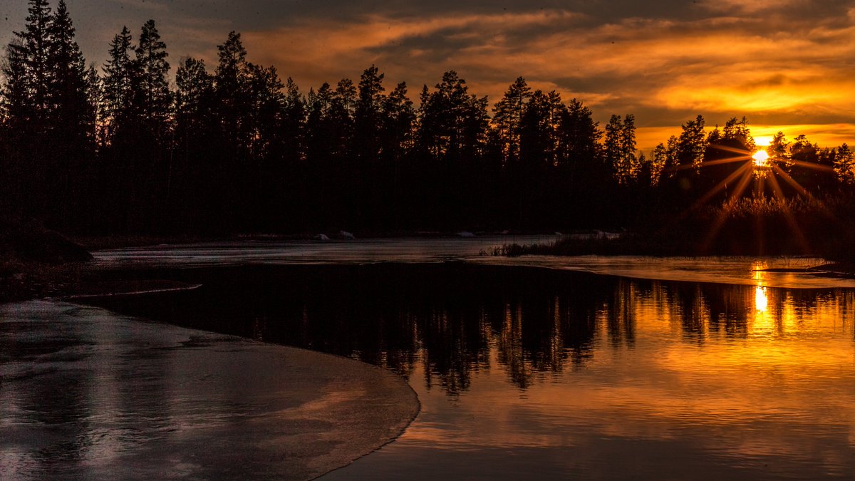 TheSwedishSaga's tweet photo. Fire & Ice
So after I made sure, the girl who got stuck on the ice was safely on her way home and all others had left the forest I sat down and enjoyed the last sunshine.
What a beautiful day!
I got my gold on the ice - just like Nils van der Poel
#Olympics2022 #nature #Glaskogen https://t.co/SKVQhyXMXQ