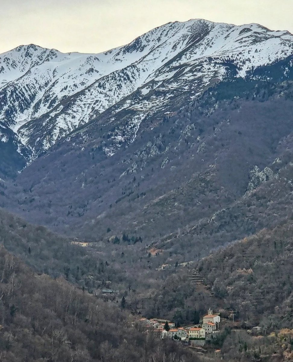 ricardrigall's tweet photo. Vallmanya, diminut a la falda del Canigó. #vallmanya #valmanya #conflent #bicicleta #gravel #hivern2022 https://t.co/GUIocPd9iL