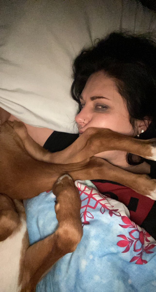 Anyone with a boxer dog will understand …….. personal space ….what personal space 😂