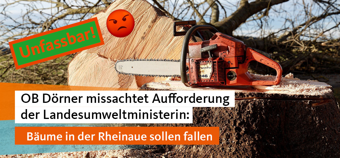 OB Dörner missachtet Aufforderung der Landesumweltministerin: Bäume in der Rheinaue sollen fallen

cdu-ratsfraktion-bonn.de/lokalas_1_1_23…