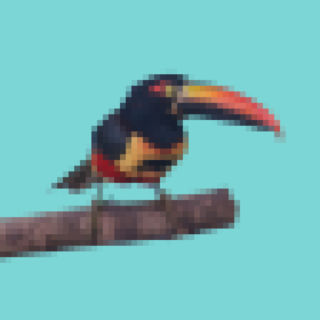 samanthaleon__'s tweet image. got myself a lil pixlbird :) this one is a collab from @PapaBeardedNFTs and @FaunaCrypto - such a cutie :) 

@PixlBirds