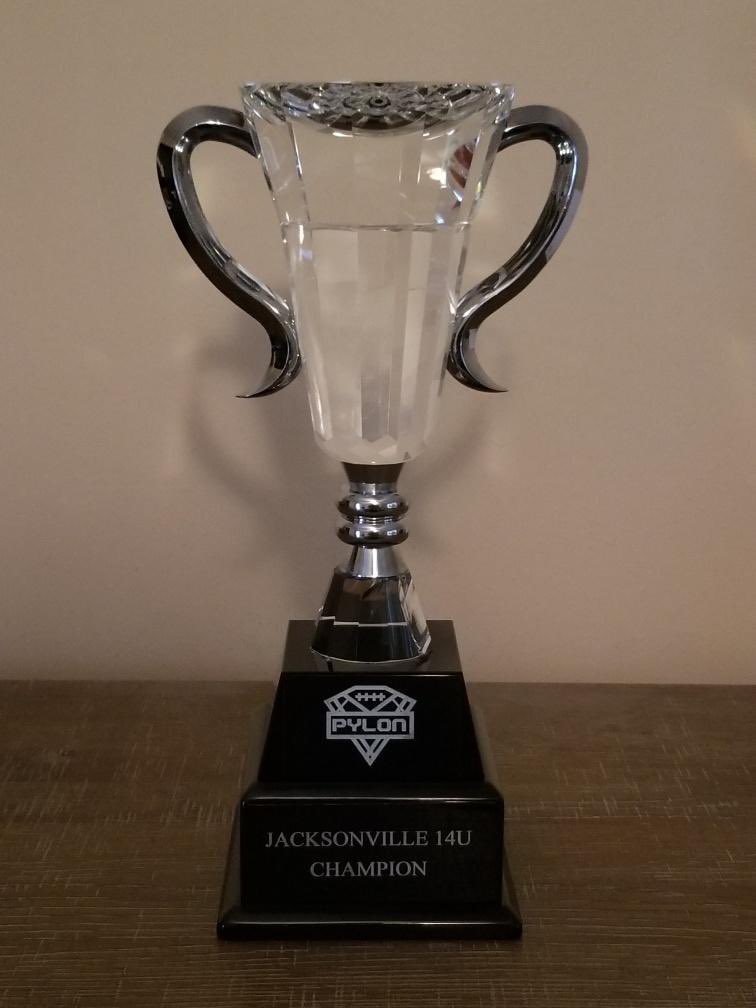jaxflatlinerz's tweet photo. Let me get that kept it in town #14u #champs @Pylon7on7 #flatlinerz it’s pressure all season long https://t.co/7pa8VatWLX