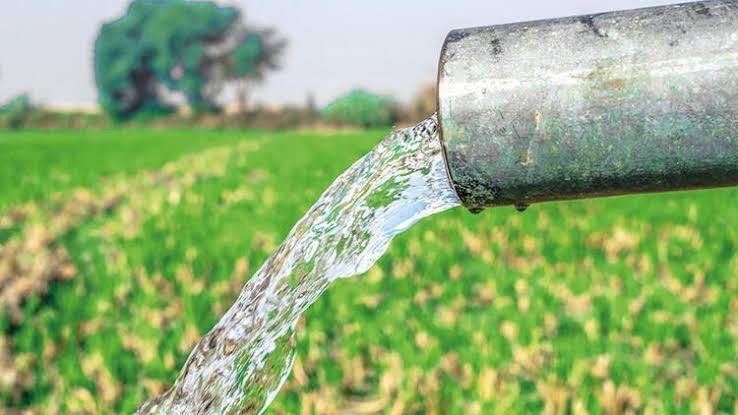 первая помощь при отравлении через кожу. промыть рану водой с мылом. промывание ожога водой. черпает воду ситом. через кожные отравления это.