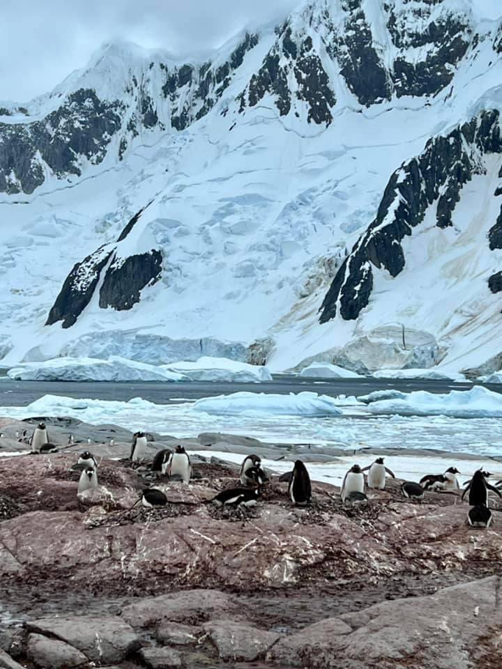 ScottSeattleWx's tweet photo. Just your average fog rolling down a snow-capped mountain shot… on Antarctica. One of my college friends is down there now. So beautiful! I want to go someday! https://t.co/CZ6TgqyWeg
