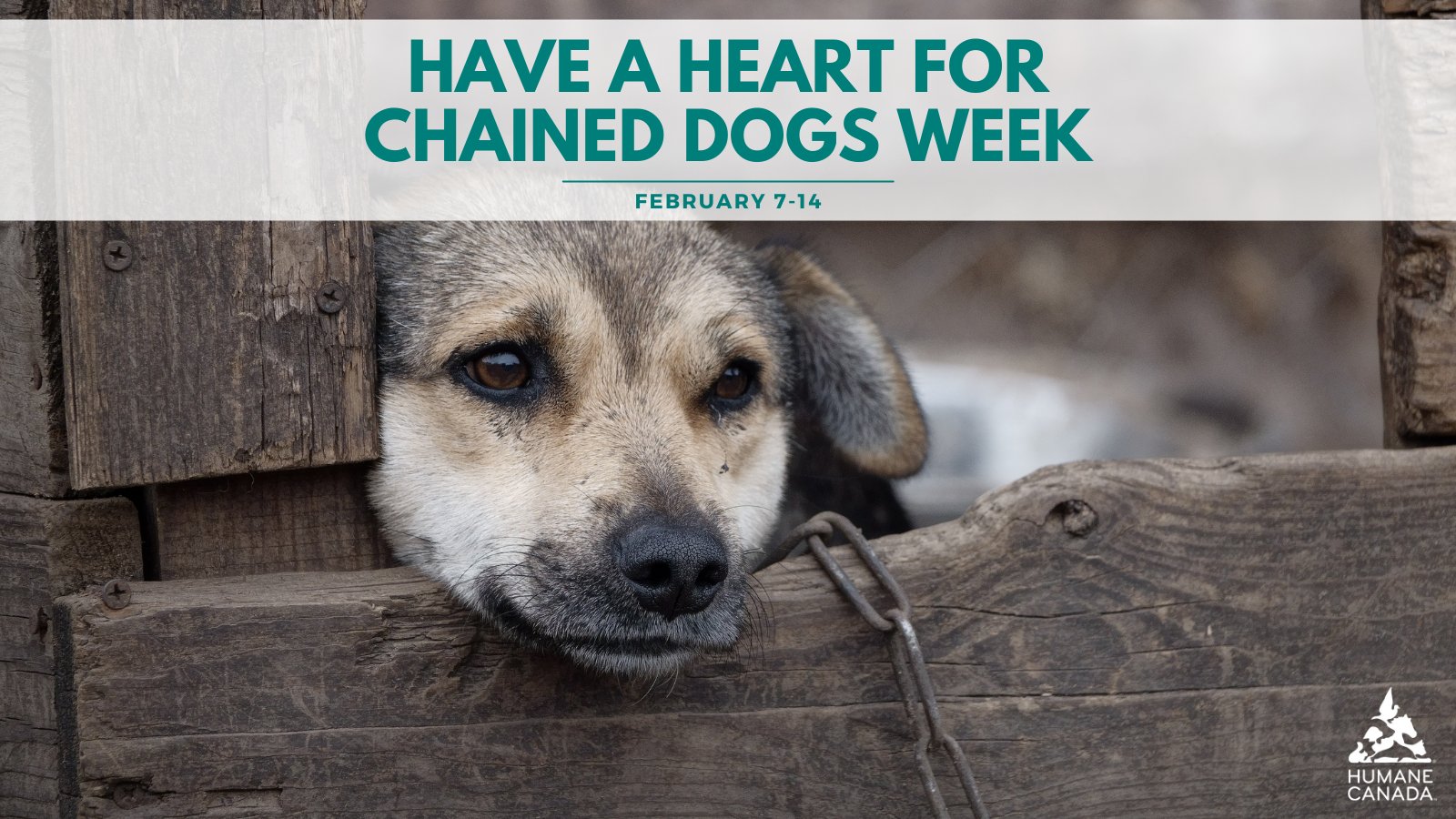 Humane Canada on Twitter: Humane Canada on Twitter: