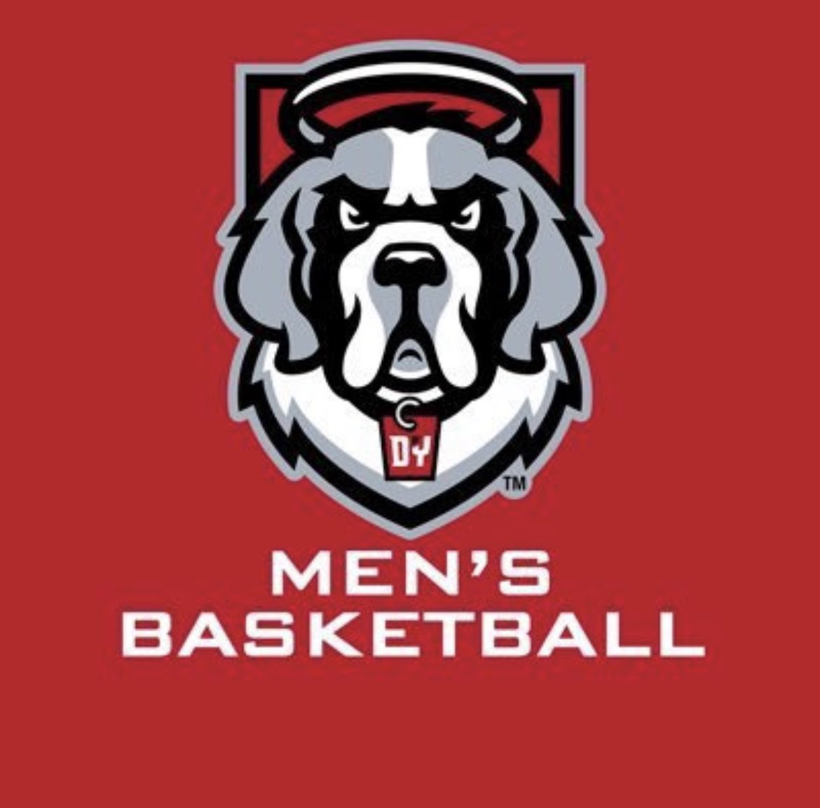 After a great visit and conversation with <a href="/Earlschunk/">Earl Schunk</a>, I am honored to receive a D2 offer to play basketball for <a href="/DYOUVILLEMBB/">D'Youville Men's Basketball</a> 🏀 🐶 #gosaints  <a href="/NWCSDathletics/">NW Athletics</a>