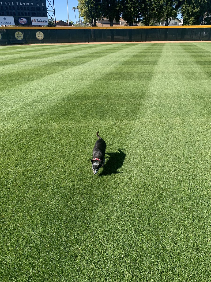 PrincipalLucas's tweet photo. Pretty excited about the season! Weather was perfect this weekend to spend a little time at the best field around! #edhawksbaseball https://t.co/U0AkGb9bLi
