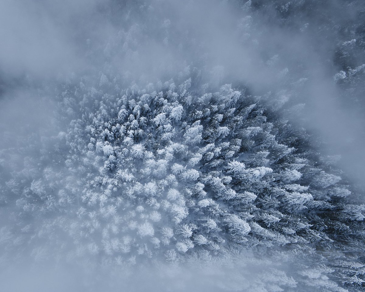 alexstrohl's tweet photo. “a place where the fog never clears” 

The Mystics, British Columbia https://t.co/fKzAO8a4Gk