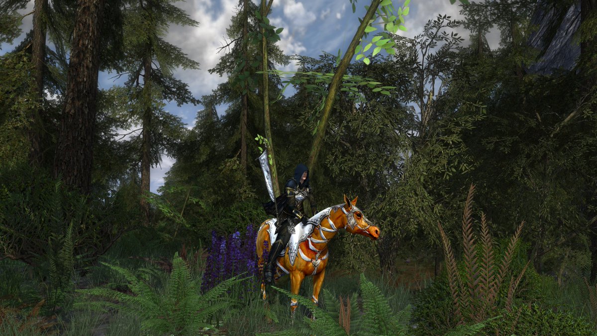 PinkWingedThing's tweet image. Finally finished with the Murk-Eaves and the proud owner of my new Elf Ambassador's Horse! Now it's time to head back to Gondor and continue my good works there.