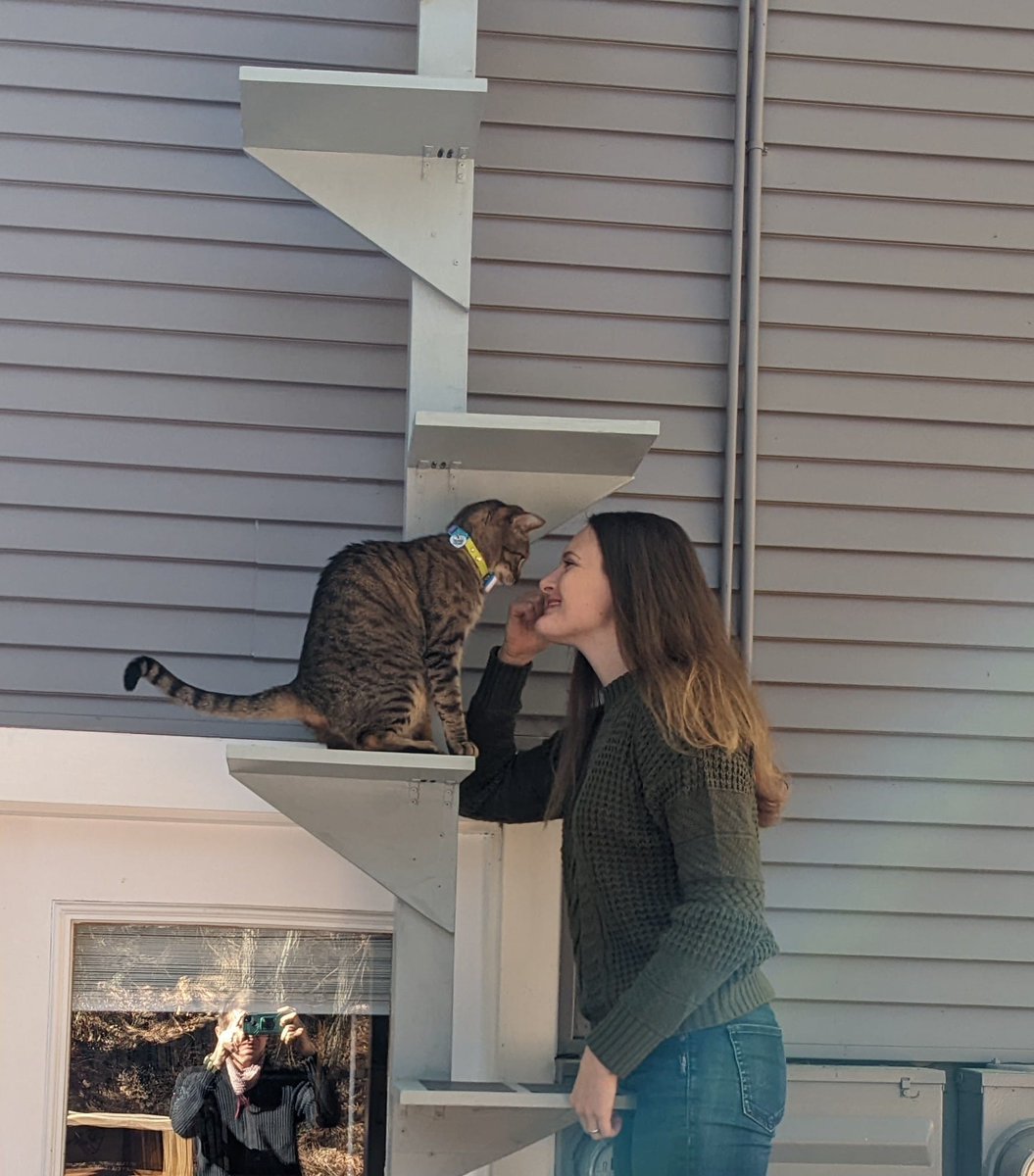 BLMerryweather's tweet photo. I made a cat ladder and 2nd floor entrance so that our cat could come and go independently throughout the day while other animals and people cannot! Here are a couple pictures, and how I made it is outlined in pictures in the post below! 
https://t.co/kbJQbgGgV0 https://t.co/YQuHzENKZ1
