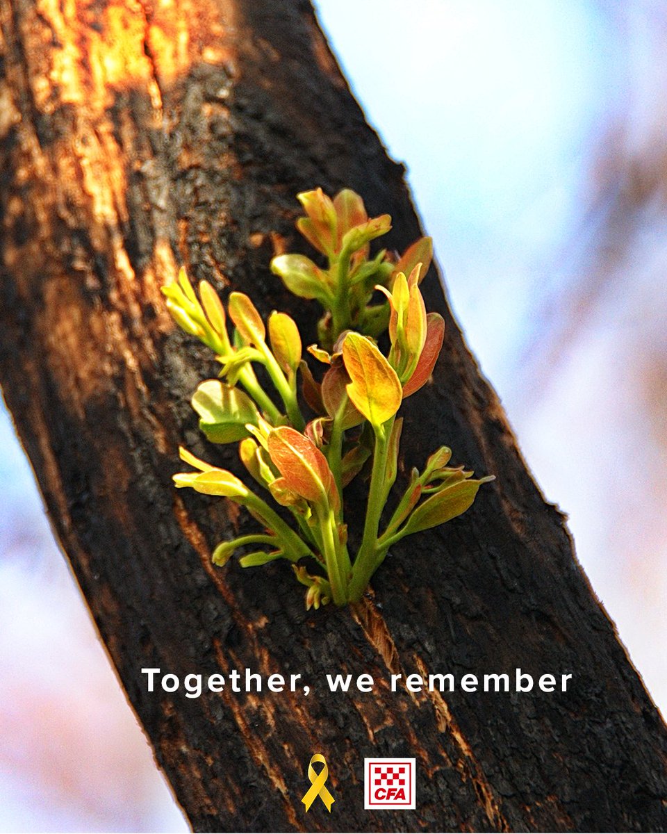 CFA_Updates's tweet photo. We will never forget 7/2/2009 - the days leading up to and after this tragic day in Victorian history. The 173 lives lost alongside homes and livelihoods. 
We take a moment today to remember all those affected and the bravery of firefighters and emergency services personnel. https://t.co/FEDasOpN3V