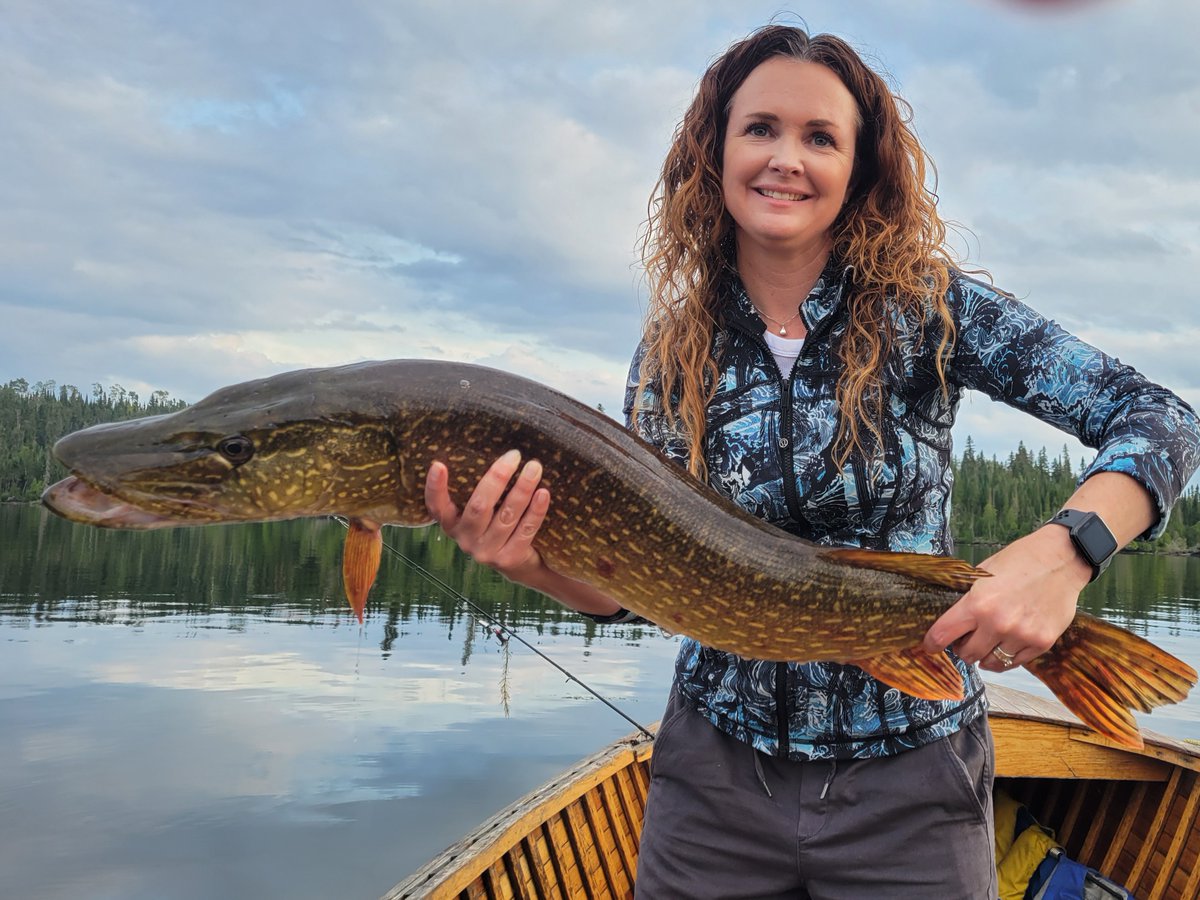 esnagami's tweet image. 2021 Esnagami Lodge Annual Newsletter - mailchi.mp/a2767110dcda/e…