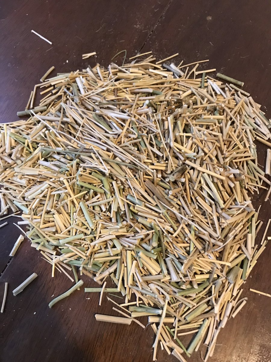 JordanRBrock1's tweet photo. Late posting this but wanted to share the final product of a collab w/ paper expert @manila_folder. Turns out you can make paper from Thlaspi aka pennycress! It’s a bit splintery and brittle - any suggestions on what I should do with it now? https://t.co/rt6GuqBVGg