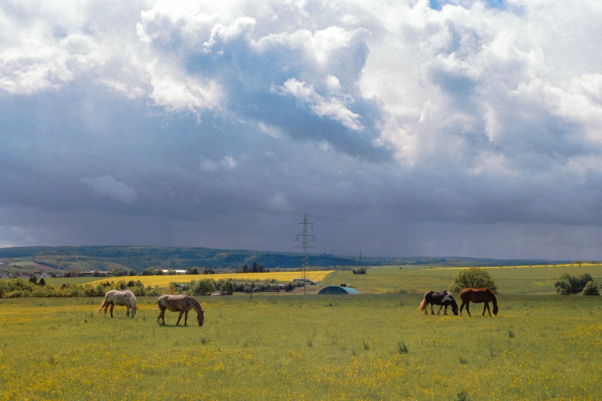 raoulfilm's tweet photo. countryside views on 35mm film https://t.co/NXW5h2qa78