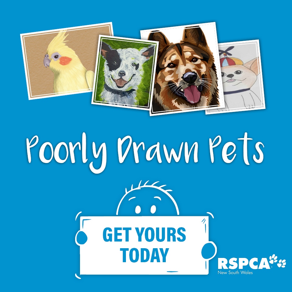 Will The Rspca Put My Dog Down