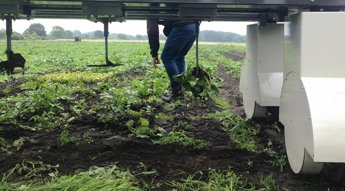 Rogier Schulte (@rogierschulte) on Twitter photo Automated Argoecology - a contradition in terms or a future for farming?
"Robots have a role to play, but only if we rethink their design and purpose. To support, rather than replace, the farmer", writes <a href="/fse_wur/">FSE - Wageningen UR</a> 's own Lenora in this ethics paper:
link.springer.com/article/10.100… Automated Argoecology - a contradition in terms or a future for farming?
"Robots have a role to play, but only if we rethink their design and purpose. To support, rather than replace, the farmer", writes <a href="/fse_wur/">FSE - Wageningen UR</a> 's own Lenora in this ethics paper:
link.springer.com/article/10.100…