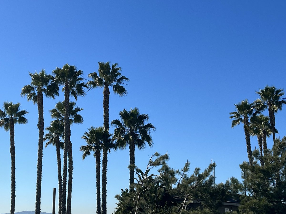 theFinnishSisu's tweet photo. Seal Beach #getoutisde https://t.co/pd3yukR67E