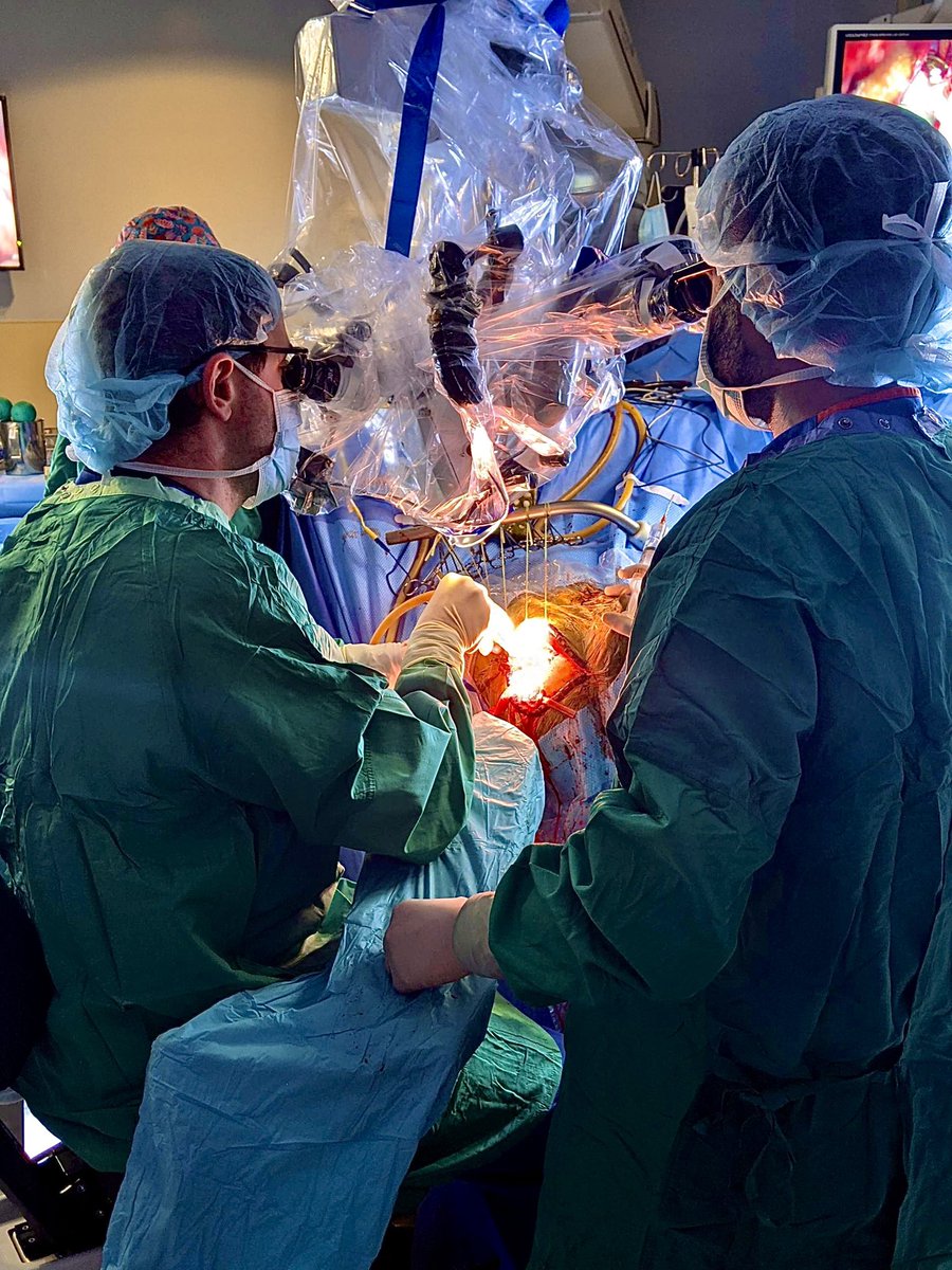 Maryland Neurosurgery (@umdneurosurgery) on Twitter photo Tim Chryssikos, PGY-7, who will be pursuing complex spine surgery, placing a clip on an MCA aneurysm with Dr. <a href="/MohamedALabibMD/">Mohamed A. Labib, MD</a> at the ready. Well-rounded training is valuable, microsurgery skills translate Tim Chryssikos, PGY-7, who will be pursuing complex spine surgery, placing a clip on an MCA aneurysm with Dr. <a href="/MohamedALabibMD/">Mohamed A. Labib, MD</a> at the ready. Well-rounded training is valuable, microsurgery skills translate