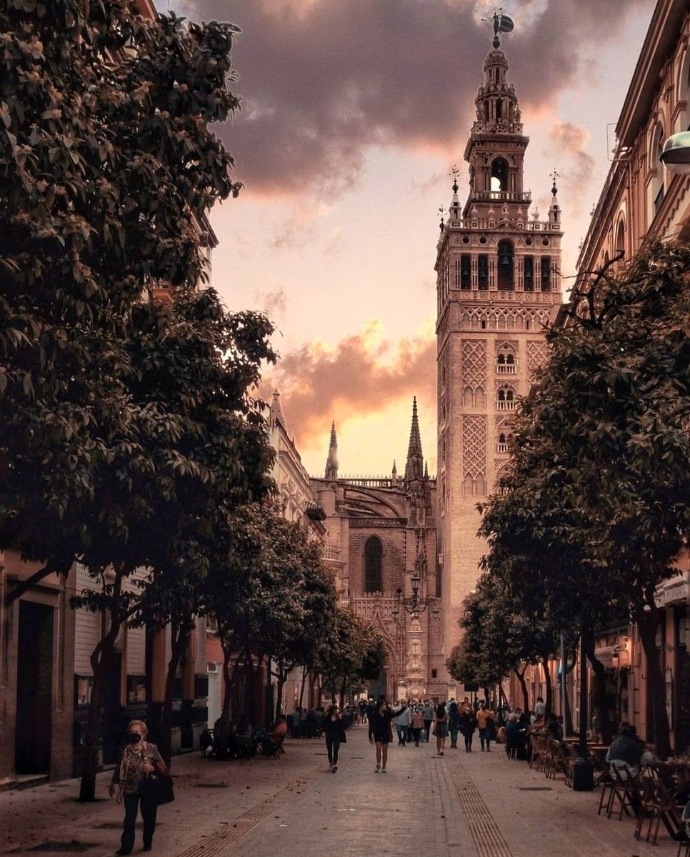 Creo que vivo en la ciudad más bonita del mundo