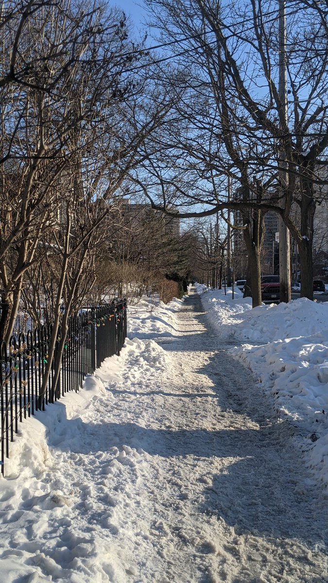 Julia MacVicar (They/Them/her) tweet media