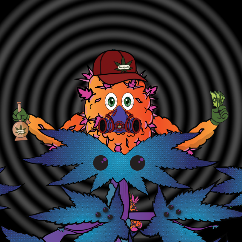 CxlkcNfts's tweet photo. Tired of getting rugged? Tired of all of these negativities over Solana?
Your girlfriend leaving you because you are not making enough?
I have THE SOLUTION for you! @MetajuanaNFT
#metajuana helps all your problem away.
.88 minting now!
#mcschallenge #MSCNFT #LFGROW https://t.co/yEDKjxT8jD