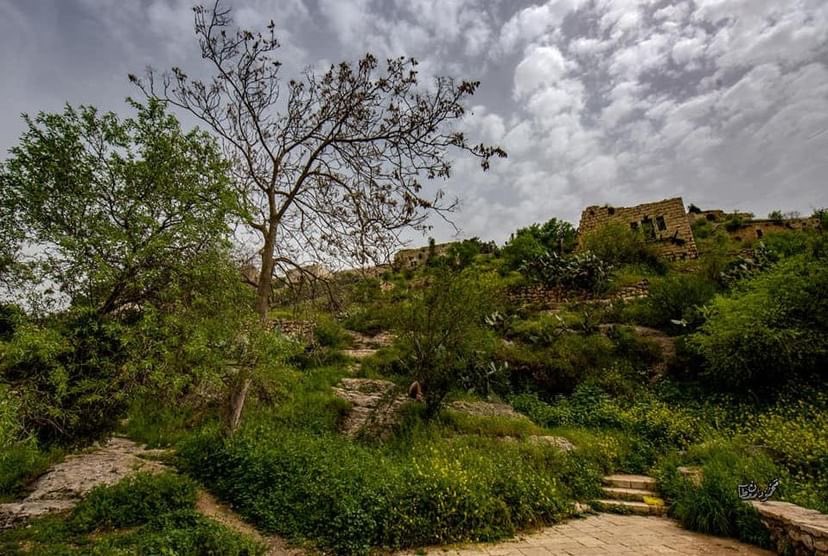 MuhammadSmiry's tweet photo. Destroyed &amp; Ethnically Cleansed (Depopulated) Palestinian village (Lifta) https://t.co/ie0k0ckQx1