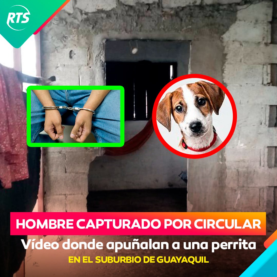 RTSEcuador's tweet photo. 🔴El video fue subido a redes sociales y ciudadanos alertaron a la Policía. https://t.co/VYikzrk6bH https://t.co/YIVhwMwCA3