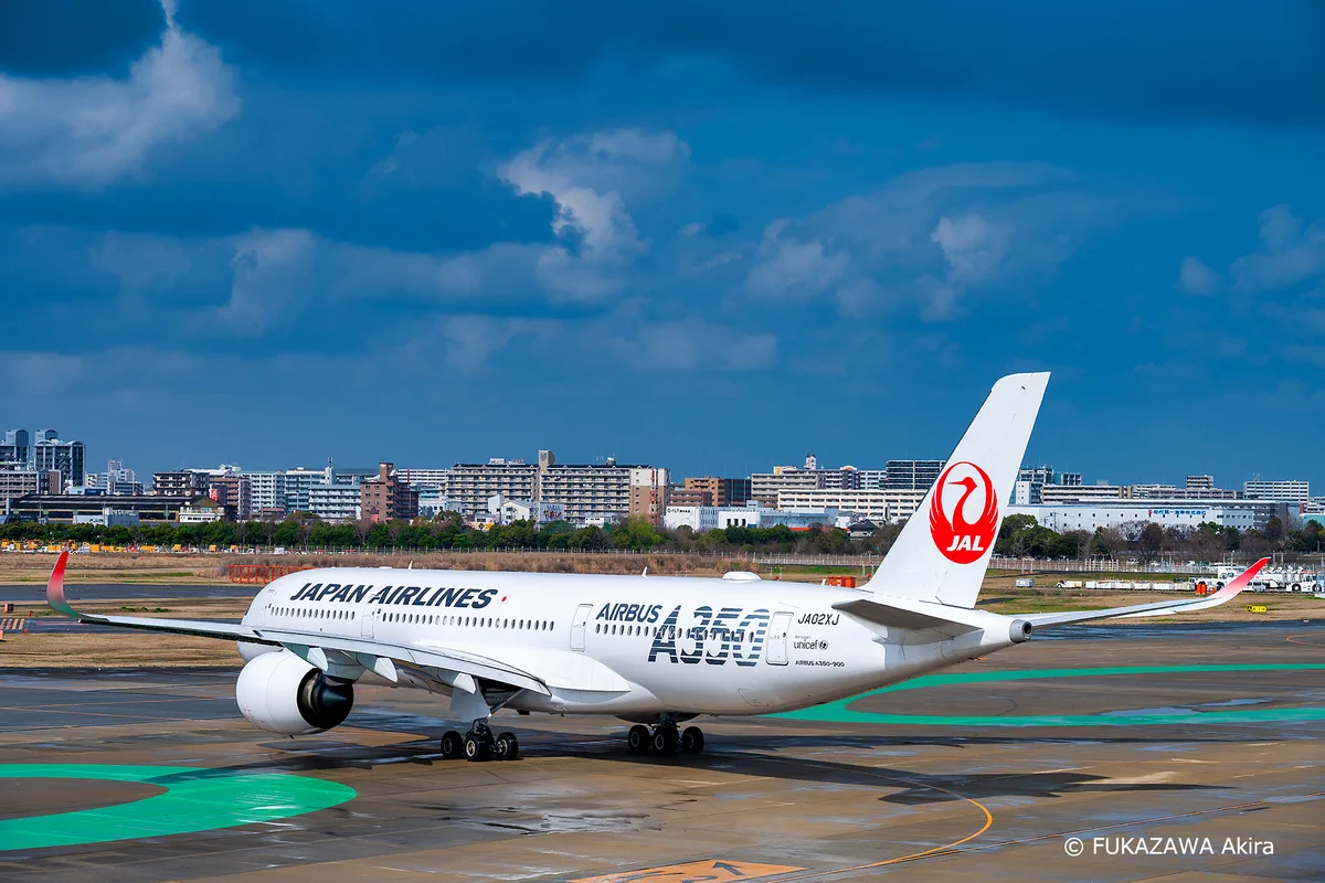 はるる JAPAN AIRLINES【JAL】 on X: 