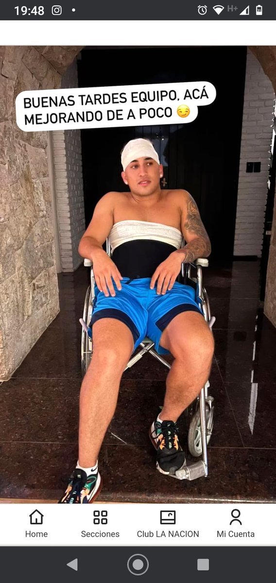 Mono Bostero🦧 tweet media