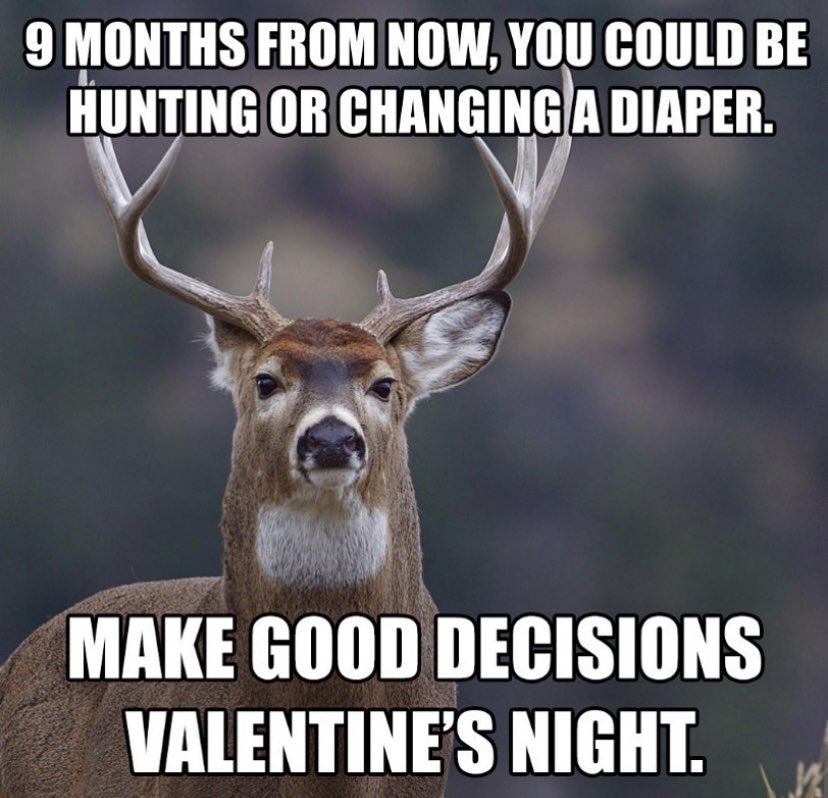 Outdoor Obsession tweet media