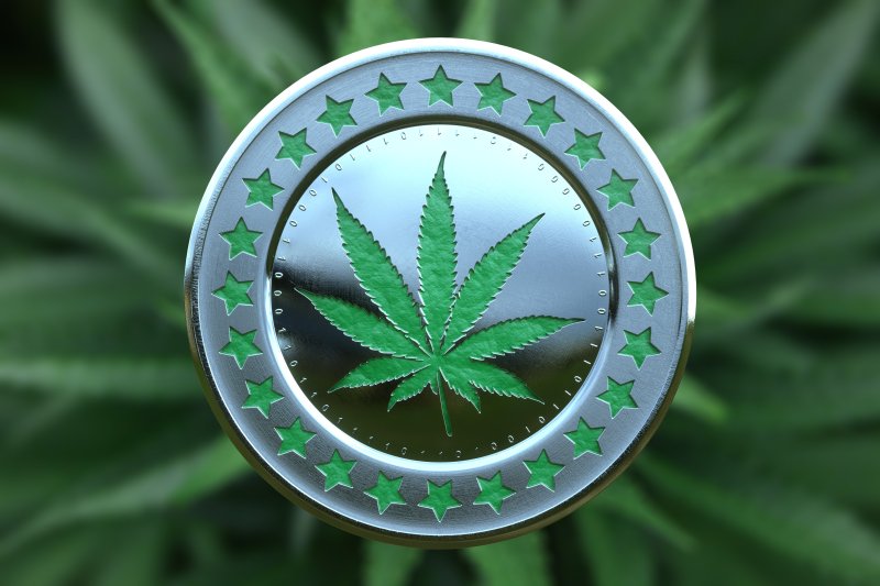 StonedDogElon's tweet photo. Stonerz jump on that DogElon CryptoCoin and go higher than you have ever been 😎#cryto #weed #NFTs #NFTs #DogelonWarriors #dogelon #420 https://t.co/wVdufWxsp6